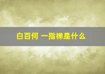 白百何 一指禅是什么